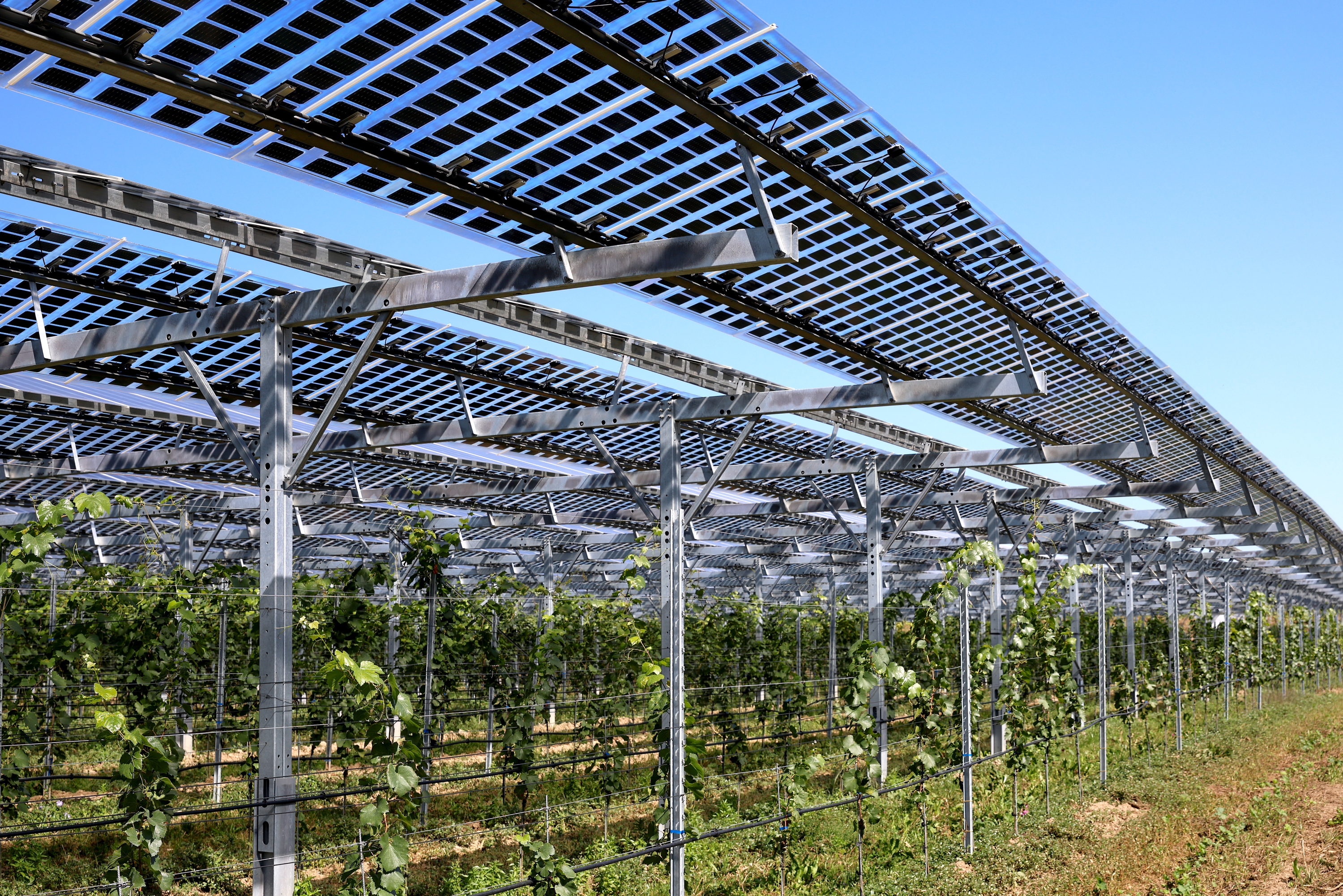 ÖSW Agri-Photovoltaikanlage in Linz